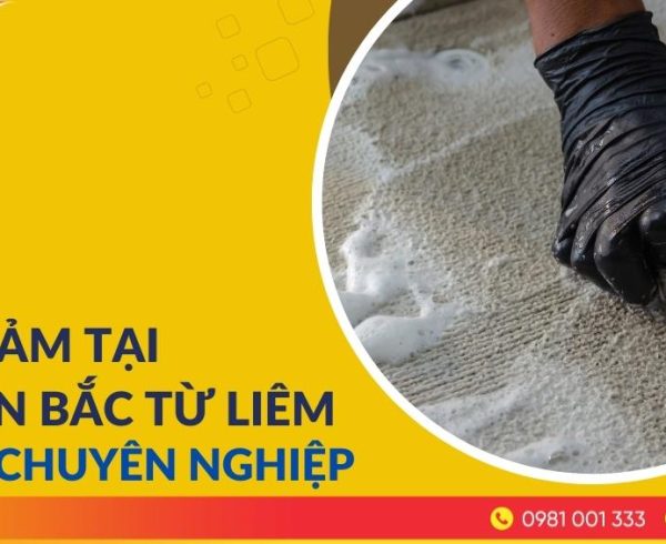giat tham tai quan bac tu liem dich vu chuyen nghiep 01